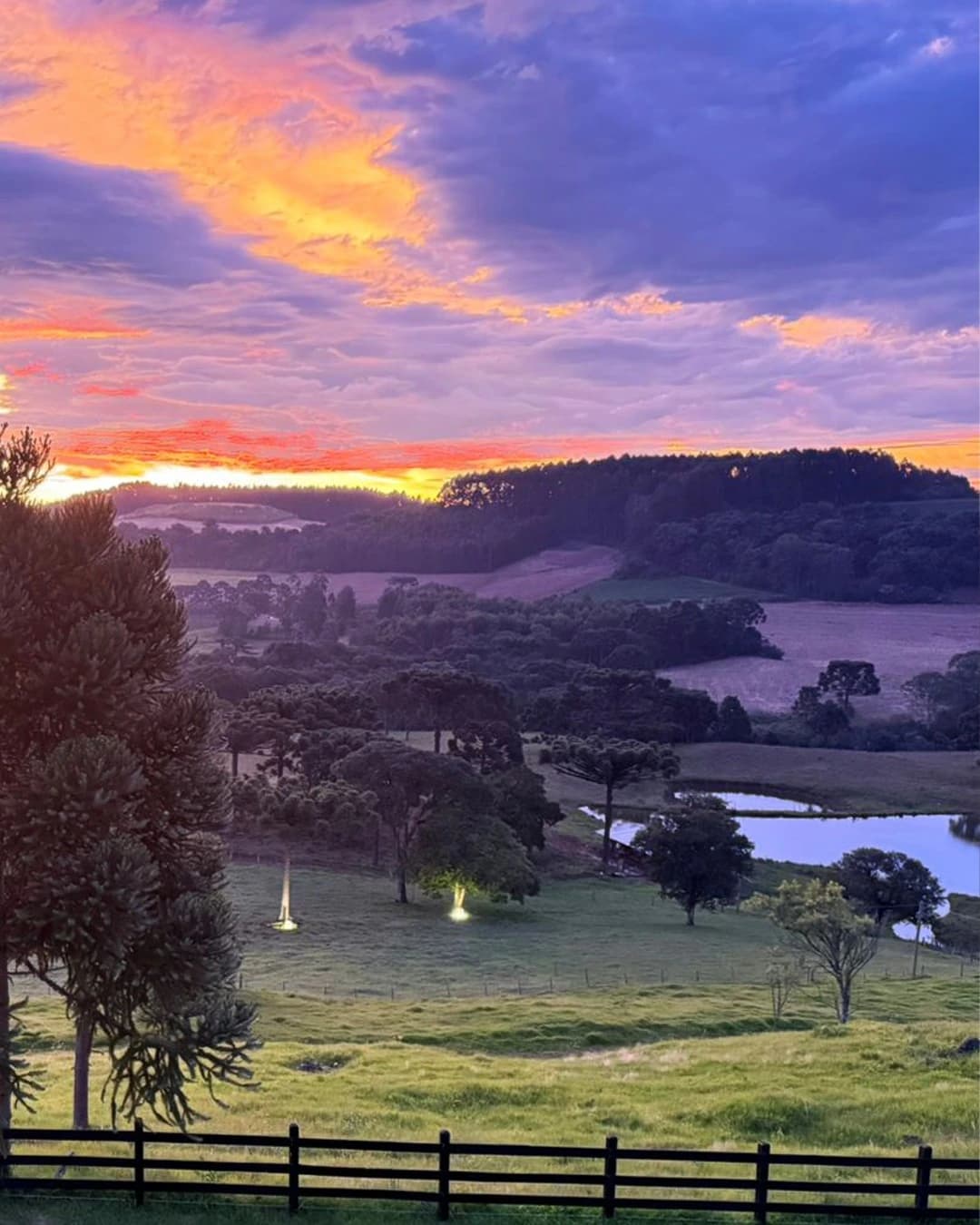 Pôr do sol sobre a Serra Catarinense, entre araucárias, na Invernada do Sol